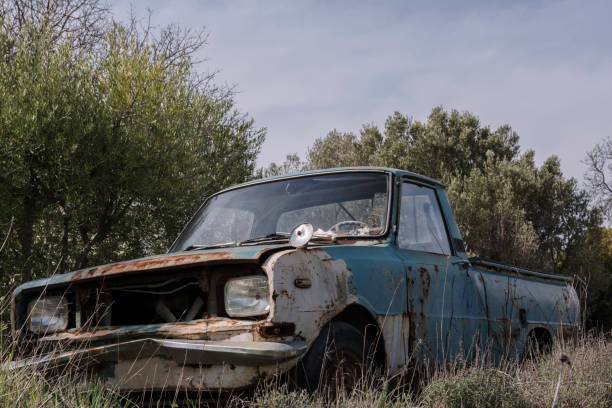 istock Abandoned old rusty pickup truck in olive grove in spring 653908274