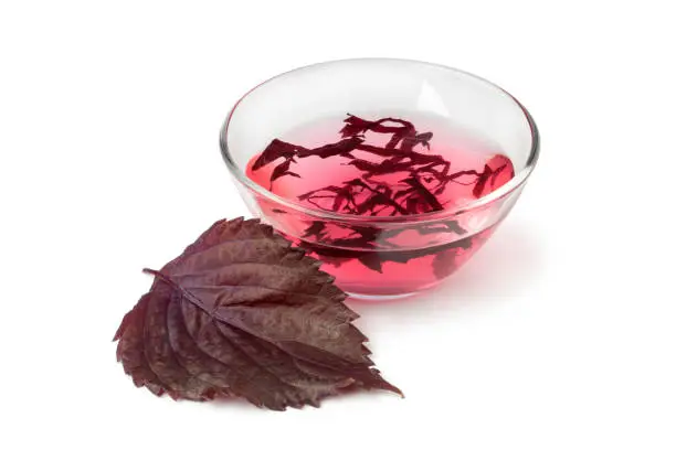 Bowl with shiso vinegar and fresh red shiso leaf on white background