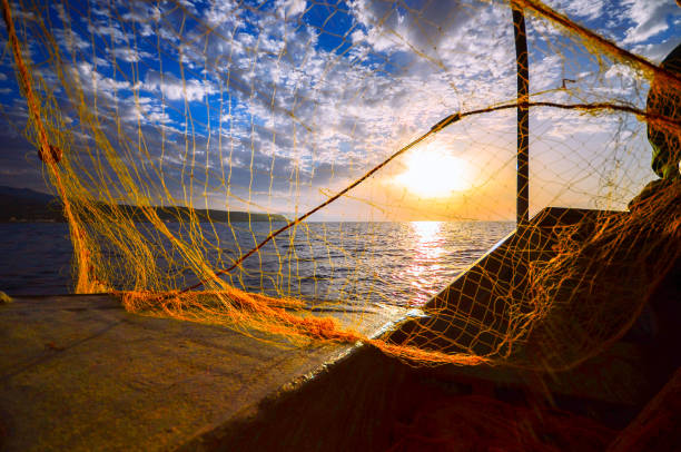 istock Fisherman's hand silhouette  throwing fishing net at sunset, Crete, Greece 653909268