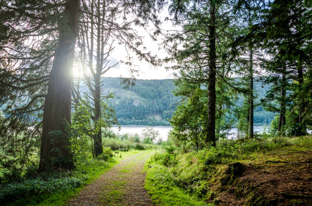 The nature photo was taken outdoors and shows a lake area in Cumbria in England, UK.