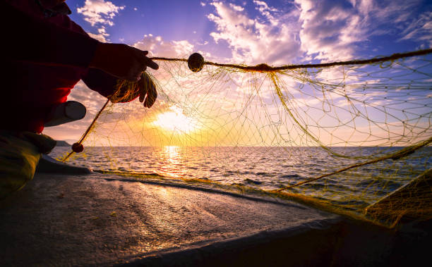1,800+ Fisherman Throw A Net To Catch A Fish Stock Photos