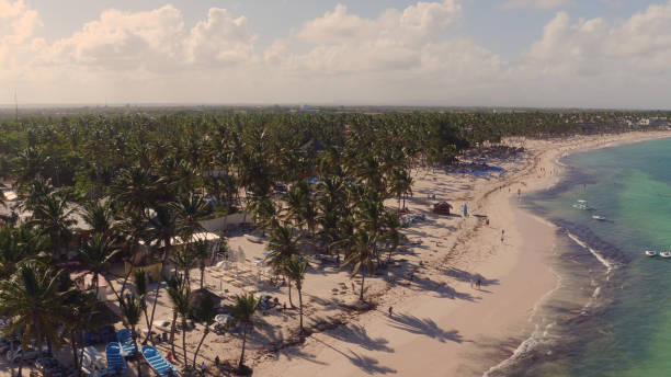 istock View of the beach with palm trees on top 653915104