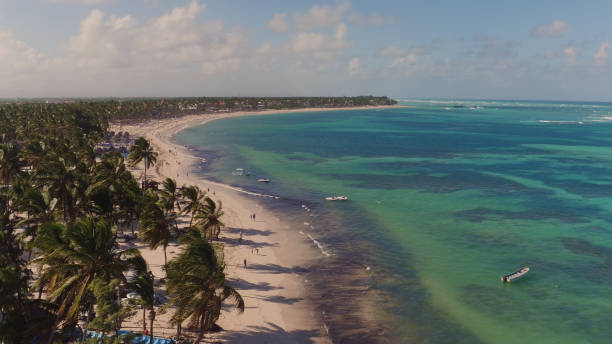istock View of the beach with palm trees on top 653915238