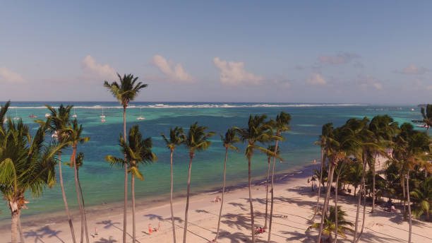 istock View of the beach with palm trees on top 653915744