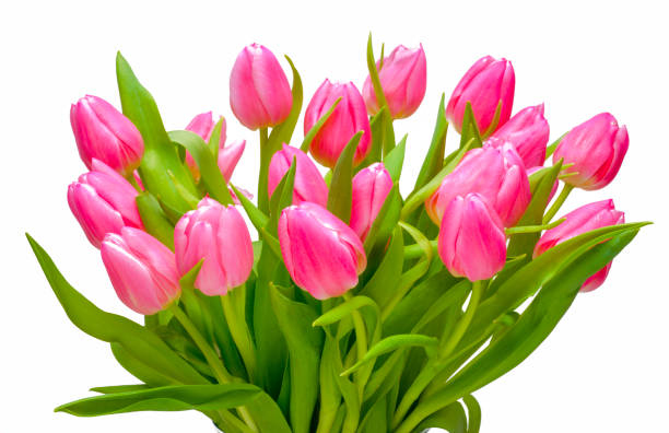 istock bunch of flowers as present for holiday 653920286