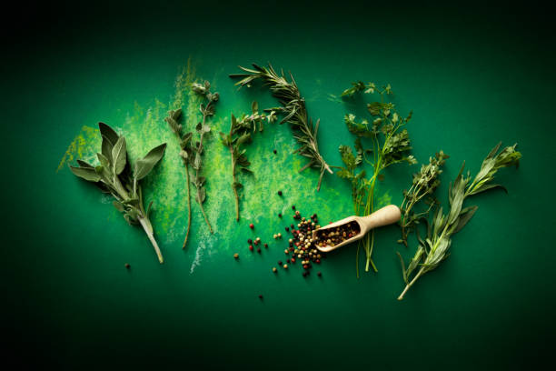 condimento: erbe e pepe natura morta - green food chervil herb foto e immagini stock