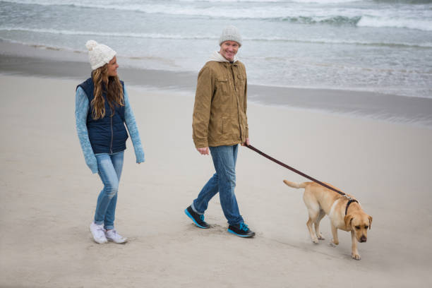 istock Couple walking with pet dog 653921450