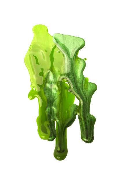 istock Paint green nail polish 653923096
