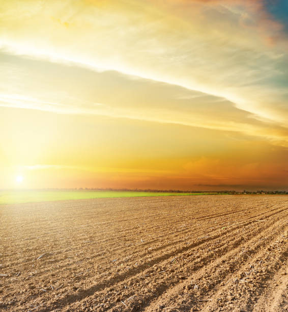 istock agricultural black plowed field and orange sunset 653926174