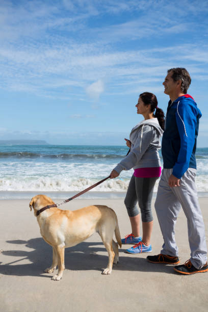 istock Couple standing with pet their dog 653929206