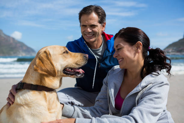 istock Smiling couple with their pet dog 653929352