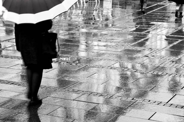 istock Rainy day in city pedestrian zone 653931108