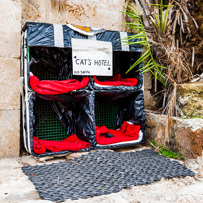 Good people have built a hotel for stray cats in one of the areas of ancient Jaffa.