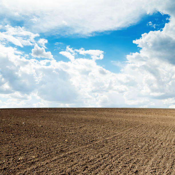 istock agricultural black plowed field and blue sky with clouds 653937718