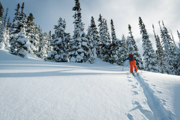 istock Ski touring in a winter wonderland 653938854