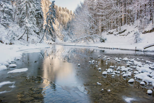 istock panorama scene at winter in Bavaria with ice and snow 653939402