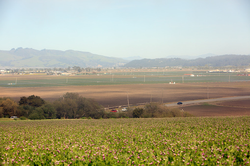 High view of the Watsonville Valley. Rural Central California area.