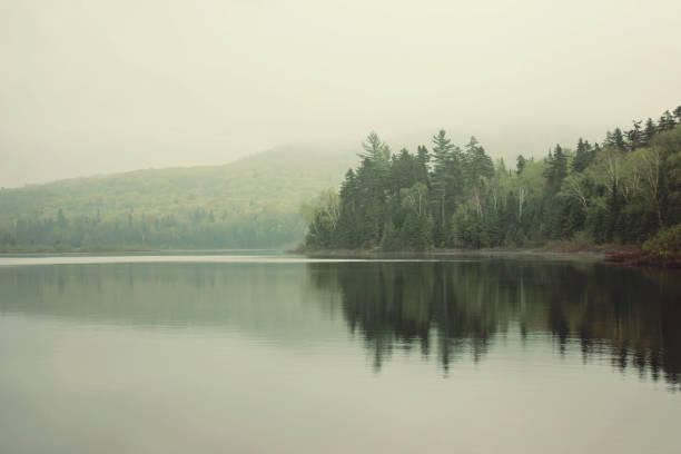 manhã no lago - mountain mist fog lake - fotografias e filmes do acervo