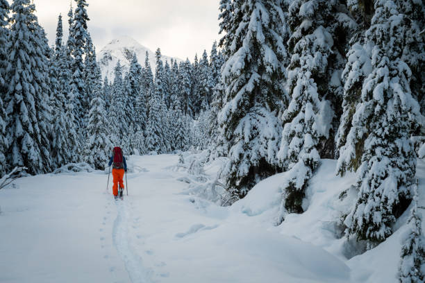 istock Ski touring in a winter wonderland 653940912