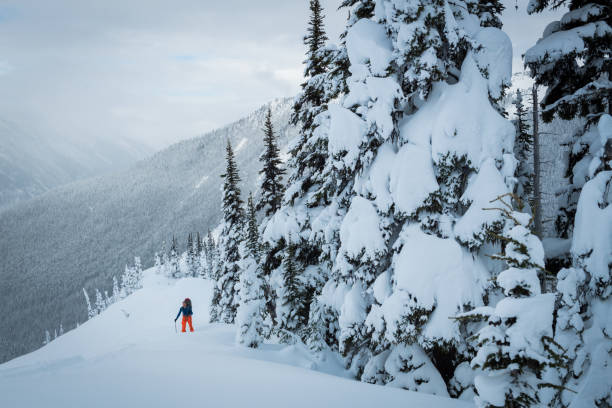 istock Ski touring in a winter wonderland 653941122