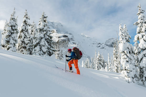 istock Ski touring in a winter wonderland 653941340