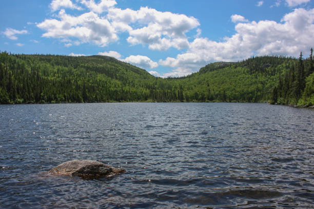 istock Grands-Jardins National Park in Quebec 653944530