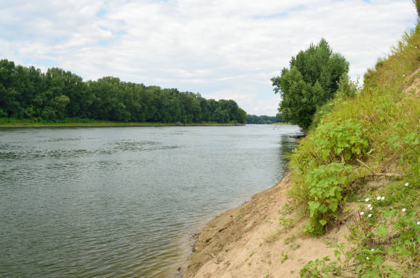 istock The natural landscape in the summer. 653945186