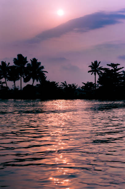 Afternoon shot on the backwaters in Kerala, India