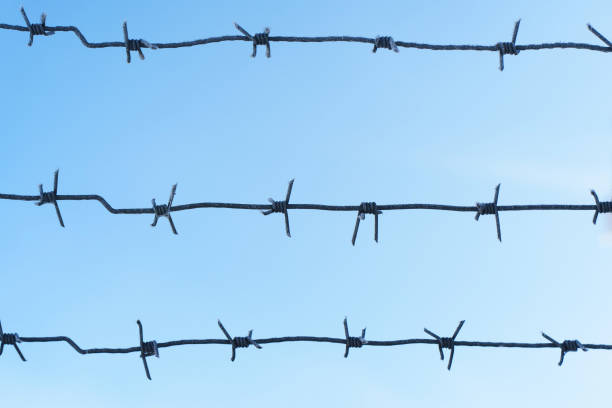 istock lines barbed wire. focus with shallow depth of field. closeup 653948734