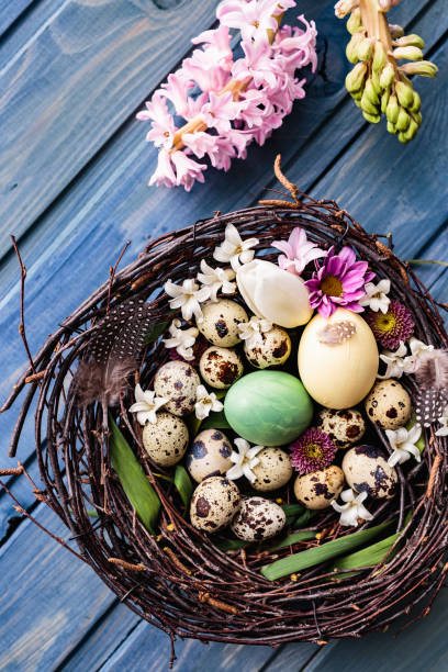 istock Nest with easter eggs on a blue wooden background 653949264