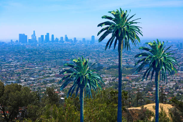 istock Los Angeles California Skyline Palm Trees 653950186