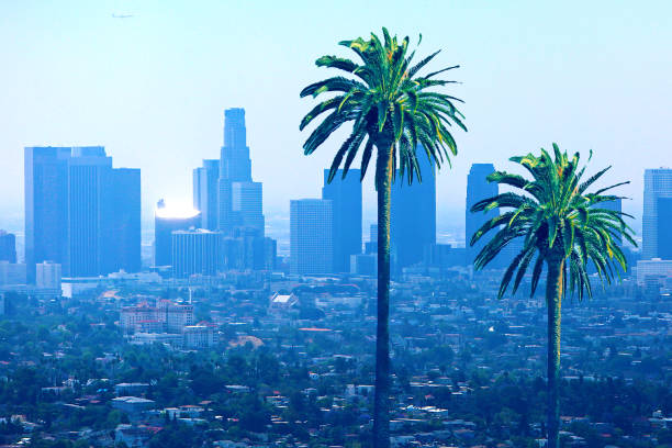 istock Los Angeles California Skyline Palm Trees 653950190