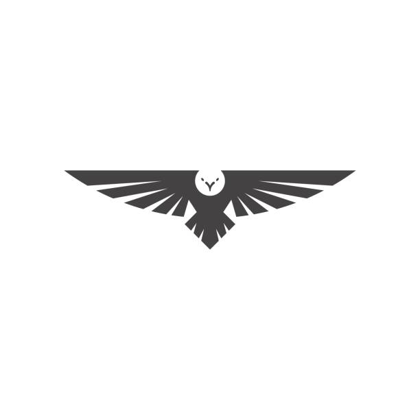 illustrations, cliparts, dessins animés et icônes de logo de eagle, silhouette predator hawk oiseaux large envergure flottant dans l’air, vol maquette emblème tatouage animaux - ailes déployées