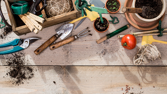 Top view vegetable gardening header image on old stained wooden planks with text space