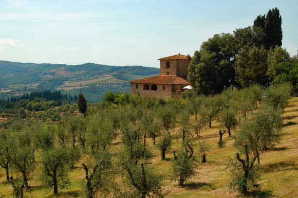 сельская местность в удивительной тоскане в италии - lazio vineyard cyprus landscape стоковые фото и изображения