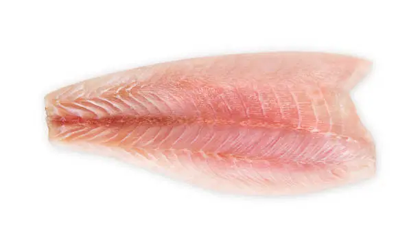 Fresh fillet of sea bass on a white background