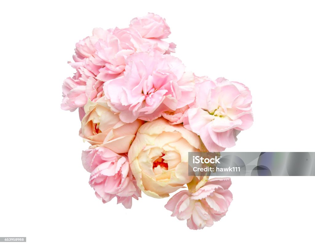 Bouquet of roses and carnation Pictured a bouquet of roses and carnation in a white background. Rose - Flower Stock Photo