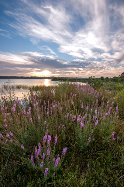 istock Beautiful sunset in Southern highalnds NSW Australia 653961808