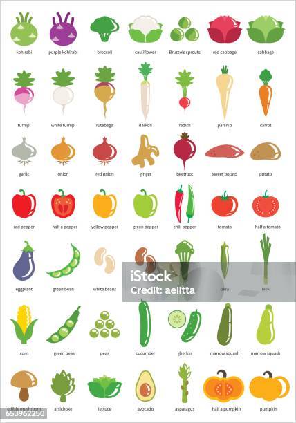 Vegetable Icons Big Set Of Fortynine Vector Icons Stock Illustration - Download Image Now