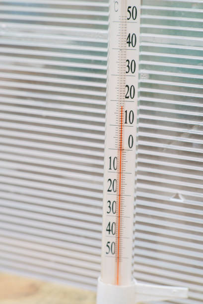 istock The temperature in the greenhouse is 18 degrees Celsius 653963158