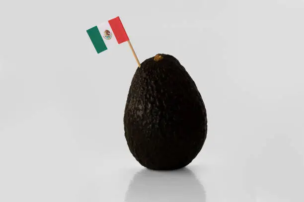 Photo of Avocado with Mexican flag.