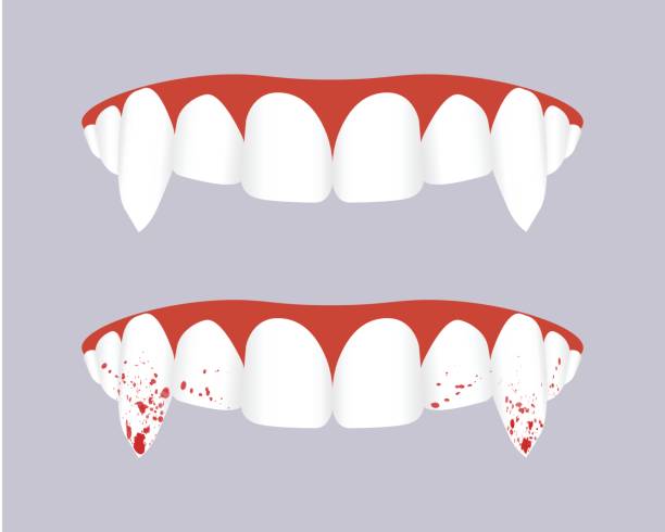 Vampire teeth with bloody fangs. Vector illustration. vector art illustration