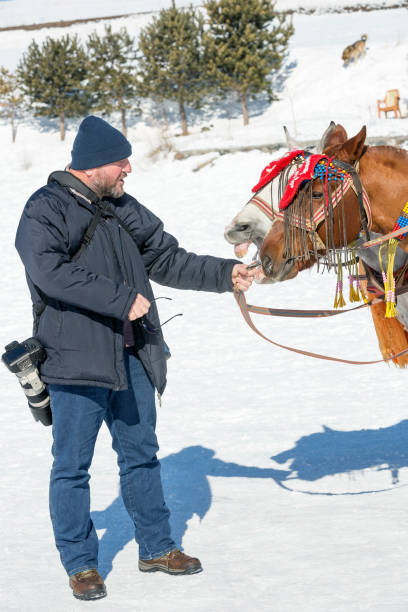 istock The Horse whisperer Photographer 653966080