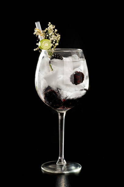 istock tall wine glass Gin and tonic cocktail drink 653966370