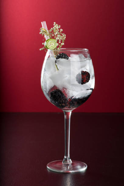 istock tall wine glass Gin and tonic cocktail drink 653966830