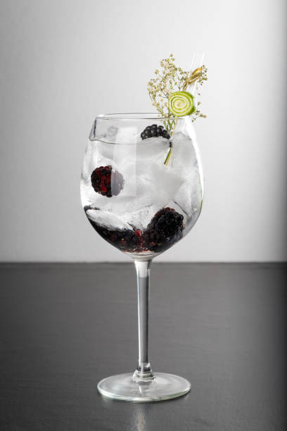 istock tall wine glass Gin and tonic cocktail drink 653967070