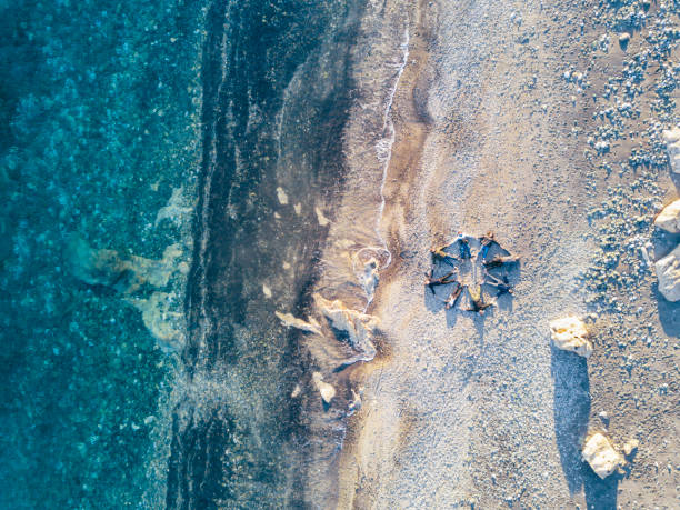 istock Friends lying together on the beach, making a star shape 653967094