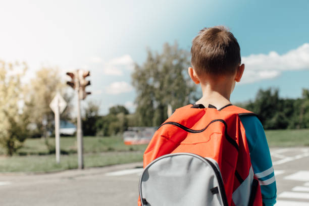 istock Schoolboy standing and waiting at zebra crossing 653967784
