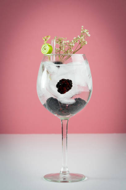 istock tall wine glass Gin and tonic cocktail drink 653967954