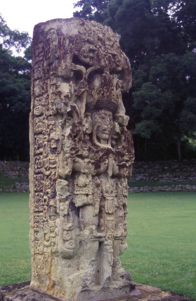 istock Large commemorative stele with Mayan hieroglyphics memorializing Eighteen Rabbit Emperor Copan Ruinas Archeological artifact Copan Honduras 653972452